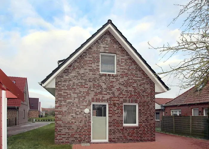 Albatros In Neßmersiel